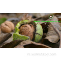 Yunnan Origin Chinese Walnut Kernels Light Quarters